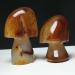 Natural Crystal Rough Stone Natural Agate Crystals raw specimens Hand-Carved Mushrooms Balance Gemstone Decoration - Buy Online on GoSupps.com