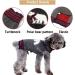 ABRRLO Christmas Dog Sweater - Warm & Cozy Pet Sweater for Small & Medium Dogs (XS Bear) - Ideal Holiday Gift - Buy Online on GoSupps.com