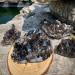 Gift Natural Crystal Aura Smoked Quartz Cluster Folk Rough Natural Crystal Stone ZJGIDTEM (Size : 300-350g) - Buy Online on GoSupps.com