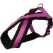 Premium Fuchsia XL Tour Tableware - Elegant Dining Set for International Shipping - Buy Online on GoSupps.com