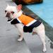 Rantow Dog Life Jacket with Superior Buoyancy & Rescue Handle - High Visibility Float Coat Dog Lifesaver Vest in Beach Pool Boating Safety Swimsuit Preserver (M Orange) M Orange - Buy Online on GoSupps.com