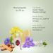 Penhaligon's Ladies' Fragrance Collection 5 x 5 ml - Buy Online on GoSupps.com
