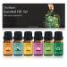 Essential Oil Set 100% Pure Natural 10ml for 6 Pack Tea Tree Oil Eucalyptus Oil Lavender Oil Orange Oil Peppermint Oil Lemon Oil (Basic(6-Pack) 0.33 Fl Oz*6) Basic(6-Pack) 0.33 Fl Oz (Pack of 6)