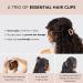 Kitsch Large Assorted Hair Clips for Women and Teen Girls - Medium & Small Open Shape Clips + Big Claw Clip | Hair Styling Accessories 3 pcs - Buy Online on GoSupps.com