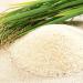 100% Japanese Niigata Prefecture Premium Koshihikari Sushi Rice - 11lb/5kg - Buy Online on GoSupps.com