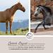 Annimally Joint Liquid for Horses 1000ml - Devil Claw Glucosamine & MSM for Joint Health - Liquid Supplement Alternative to Powder - Buy Online on GoSupps.com