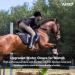 Amoy Stretch Horse Riding Gloves for Women - Breathable Black Mittens, Size Medium - Buy Online on GoSupps.com