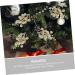 ABOOFAN 20pcs Christmas Imitation Berries Wreath Flower Garland Decor Christmas Berries Simulation Berries Branch Artificial Berry Branches Xmas Berries Christmas Tree Foam Accessories Golden 19X5X5CM - Buy Online on GoSupps.com