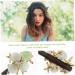 minkissy Hairpin Hairpin Hair Bun Stick Picks Decorative Hair Sticks Metal Hair Clips for Women Chinese Hair Chopsticks Vintage Hair Clips Han Clothing Hairpin Miss Wooden Glass Accessories - Buy Online on GoSupps.com