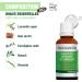 Pranar m Aromaforce Immunity Solution - 100% Organic Essential Oil Synergy for Natural Defenses - 30 ml - Buy Online on GoSupps.com