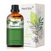 PHATOIL Spearmint Essential Oil 30ML Premium Grade Pure Essential Oils for Diffusers for Home Perfect for Aromatherapy Diffuser Humidifier Candle Making Spearmint 30.00 ml (Pack of 1)