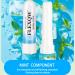 FLEXQW Nasal Sticks (4 Pack Variety) Essential Oils with Peppermint & Eucalyptus Inhaler Stick Energy Boost Portable Nasal Inhaler for Focus Sleep & Relaxation - Buy Online on GoSupps.com