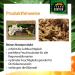 Buy Terra Exotica Sphagnum Moss (3x1 Kg) - Premium Peat Moss for Garden Houseplants & Terrariums - International Shipping Available - Buy Online on GoSupps.com