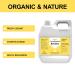 Cosmetics Grade 21 fl oz Coco Betaine Liquid Surfactant - Gentle on Skin, Ideal for Face Cleansers, Shampoos, Body Washes - Buy Online on GoSupps.com