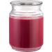 CANDLE-LITE Juicy Black Cherries Scented Aromatherapy Candle - 18 oz | 110 Hours Burn Time - Buy Online on GoSupps.com