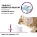 Y YHY 5 Inch White Ceramic Raised Cat Bowl - Anti-Vomiting, Tilted Design for Flat-Faced Cats & Small Dogs, Protects Pet's Spine, Dishwasher Safe - Buy Online on GoSupps.com