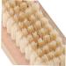VINTORKY Cleaning Brush Lady Tools Cleaning Scrubber Hand Foot Brush Pedicure Tools Scrubbing Pedicure One Cleaning Tools Wood Tools Hand Scrubbing Brush Miss Nail Manicure Tools Wooden - Buy Online on GoSupps.com
