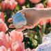 Blomeffects Tulip Dew Cream 2-In-1 Moisturizing Primer | Clean Beauty (1.7 oz | 50 ml) - Buy Online on GoSupps.com