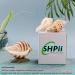 Handmade Natural Scented Candles - Conch Shell Soy Wax with Essential Oils | Perfect Gifts for Birthdays Christmas & Stress Relief - Buy Online on GoSupps.com