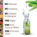 Maui Moisture Extra Hydrating Shea Butter Body Lotion 19.5oz - Pack of 1 - Buy Online on GoSupps.com