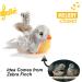 Vealind Interactive Cat Toy 2 Pack - Electronic Bird & Mouse with Sound | Ideal for Cats | Best Quality Pet Toys - Buy Online on GoSupps.com
