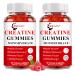 (2 Pack) Creatine Monohydrate Gummies Sugar Free Chewable Creatine for Building Muscle Boost Focus Strength Endurance 5g Creatine Monohydrate Gummy for Men & Women 4X Stronger Than Powder Capsules 60 Count (Pack of 2)