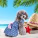 Petcute Elegant Bowknot Dog Dress - Summer Puppy Tutu with Beautiful Flower Design | XS Blue Dog Princess Clothing for Weddings & Special Occasions - Buy Online on GoSupps.com