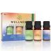 ASAKUKI Wellness Essential Oils Blends Set 3*10ML, Pure Natural Aromatherapy Diffuser Oils - Mood Uplift, Relaxation, Good Rest - for Massage, Candle Soap Making, Room Cleaning, Humidifiers Wellness Set