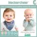 Cheeky Chompers Neckerchew Teething Bib (Botanical Bloom) - 2-in-1 Bandana Style Dribble Bib with Silicone Teether for Baby & Toddler - Buy Online on GoSupps.com