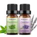 Sedbuwza Lavender Peppermint Essential Oil Set 100% Pure Aromatherapy Gift Oils for Skin Massage Diffuser Aromatherapy Peppermint + Lavender