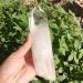 Specimen Large Clear Seed Quartz Natural Point Cluster Crystal Rough ERBDRGAZ