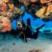 TUSA SP-0101 Hyperdry Elite II Diving Snorkel - Black/Fishtail Blue - Buy Online on GoSupps.com