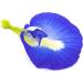 Blue Pea Flower Tea whole Loose flowers 30grams delicate and Colourful Herbal Tea - Buy Online on GoSupps.com