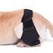 Dog Leg Brace Elbow Brace Protector Pads for Small Dogs and Cats Support Elbow Hygroma Shoulder Dysplasia Osteoarthritis Elbow Calluses and Shoulder Dislocation(XL) X-Large - Buy Online on GoSupps.com