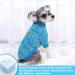 Warm Dog Sweater for Small & Medium Dogs - Classic Puppy Clothing Set (Blue) - Ideal Pet Sweater for Winter - Buy Online on GoSupps.com