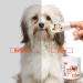 Dog Eye Wipes - Tear Stain Remover for Dogs & Cats | 100 Count Pet Finger Eye Wash Pads | Gentle & Unscented Eye Cleaning Wipes - Buy Online on GoSupps.com