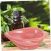 Minkissy Ceramic Shells Set - 8 Essential Oil Holders Decorative Bowls & Plates for Facial Care Salsa & More - Buy Online on GoSupps.com