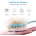 Long Handle Shower Body Brush with Comfy Bristles and Loofah for Skin Exfoliating - Blue - Buy Online on GoSupps.com