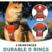 Embark Pets Adventure Dog Harness Medium - No Pull, Anti-Pull, Adjustable, Orange - Chest 60-77 cm - Buy Online on GoSupps.com