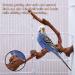 Kathson Parrot Perch Stand - Natural Wild Grape Paw Grinding Pole for Parakeet, Cockatiels, Budgies, Conure, Lovebirds | Bird Cage Accessories - Buy Online on GoSupps.com