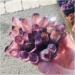 Crystal Rough Natural Crystal Cluster Amethyst Specimen Purple Quartz Reiki Stone Raw Crystal Home Decor Decoration Gift 300-400g - Buy Online on GoSupps.com