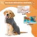Jostift Dog Bathrobe & Towel | Extra Absorbent Microfiber Bathing Coat for Dogs | Fast Drying Adjustable Straps for All Sizes - Buy Online on GoSupps.com