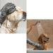 Buy Waterproof Bite-Proof Gloves for Handling Animals | 60cm Reinforced Leather Protection for Cats Dogs Lizards & More International Shipping Available - Buy Online on GoSupps.com