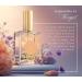 Shelley Kyle Sorella Perfume with Floral Scent Combination of Fresh Tuberose Red Roses Vintage Gardenia and Violet Leaves Perfect for Everyday Wear 30 ml Sorella 1.01 Fl Oz (Pack of 1) - Buy Online on GoSupps.com