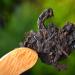 T cinese Pu Erh 357g (0 787LB) T maturo Puer T nero Otto anni di t Chenxiang T Pu Erh T vecchio Pu-erh T cotto T vecchio T Pu erh Assistenza sanitaria T pu er T sano Puerh - Buy Online on GoSupps.com