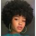 Fannace Afro Wigs for Women Afro Curly Wig for Daily Party Use Soft Natural Looking High Temperature Fiber Synthetic Afro Puff Wig for Black Women 1B