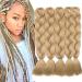 5 Packs Braids Extensions Braiding Hair Extensions Crochet Hair Synthetic Hair Kanekalon Colorful 5pcs-24"-500g Medium Blonde