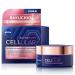 Nivea Hyaluron Cellular + Elasticity and Contour Night Cream Anti-Wrinkle Night Cream Reduces Wrinkles  Firming Face Cream for Elastic & Strengthened Skin