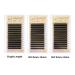Buy 7D Premade Fan W Shape Eyelash Extensions | 0.07 C Curl | 8-15mm Mix | Professional Self Fanning False Lashes for Makeup - Buy Online on GoSupps.com