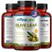FineLand Olive Leaf Extract 50x 25 000mg Eq. per Serving | 160 Vegan Caps Olive Extract with 20% Oleuropein | Herbal Antioxidant Supplement for Circulatory and Immune Support Made in USA